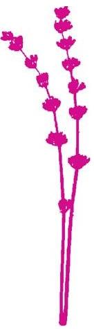 floare